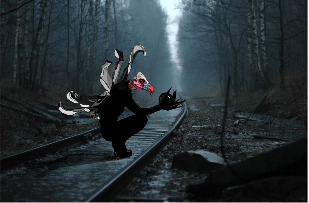 The Vulture